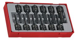 12-elementowy zestaw grotów maszynowych TX Teng Tools TT9212TX Tengtools